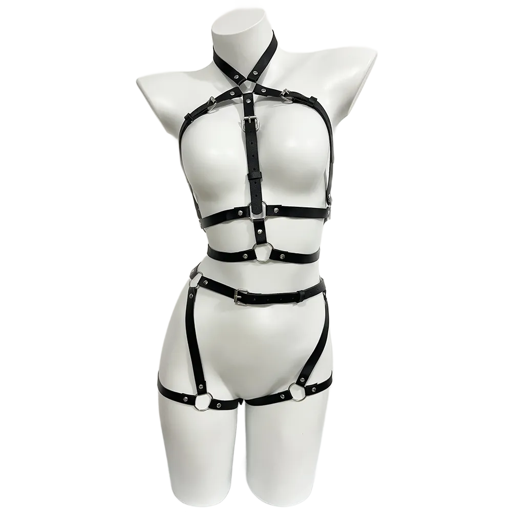 تسخير للنساء بولي Leather جلد  - مراجعة Garter Belt Set وسعره